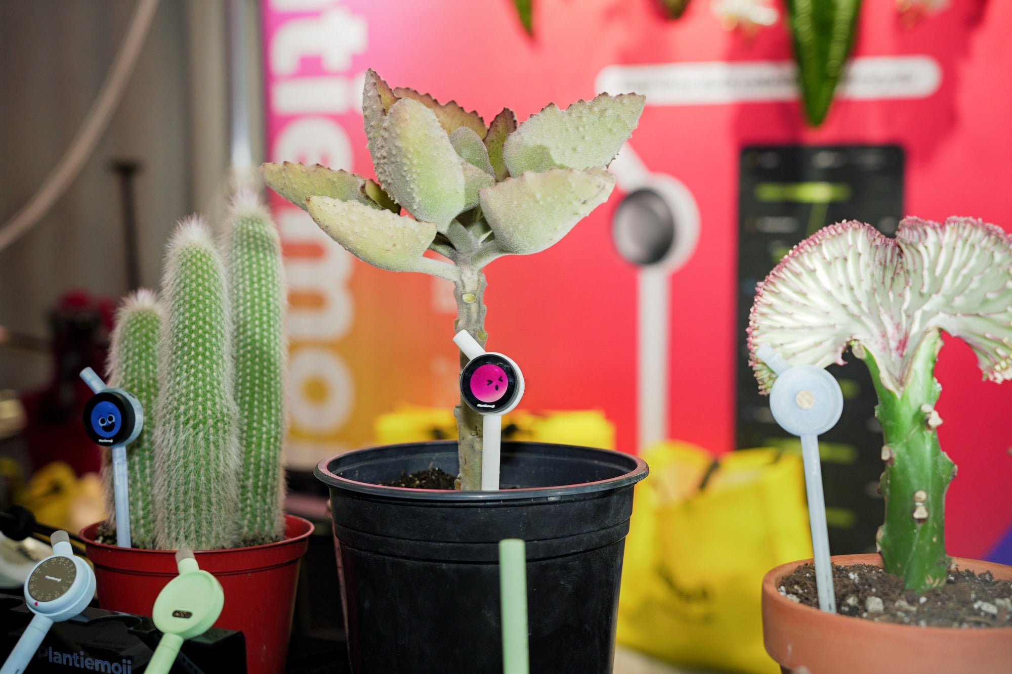 Plantalk Turns Heads at CES 2026 with AI-Powered Smart Plant Care Innovation
