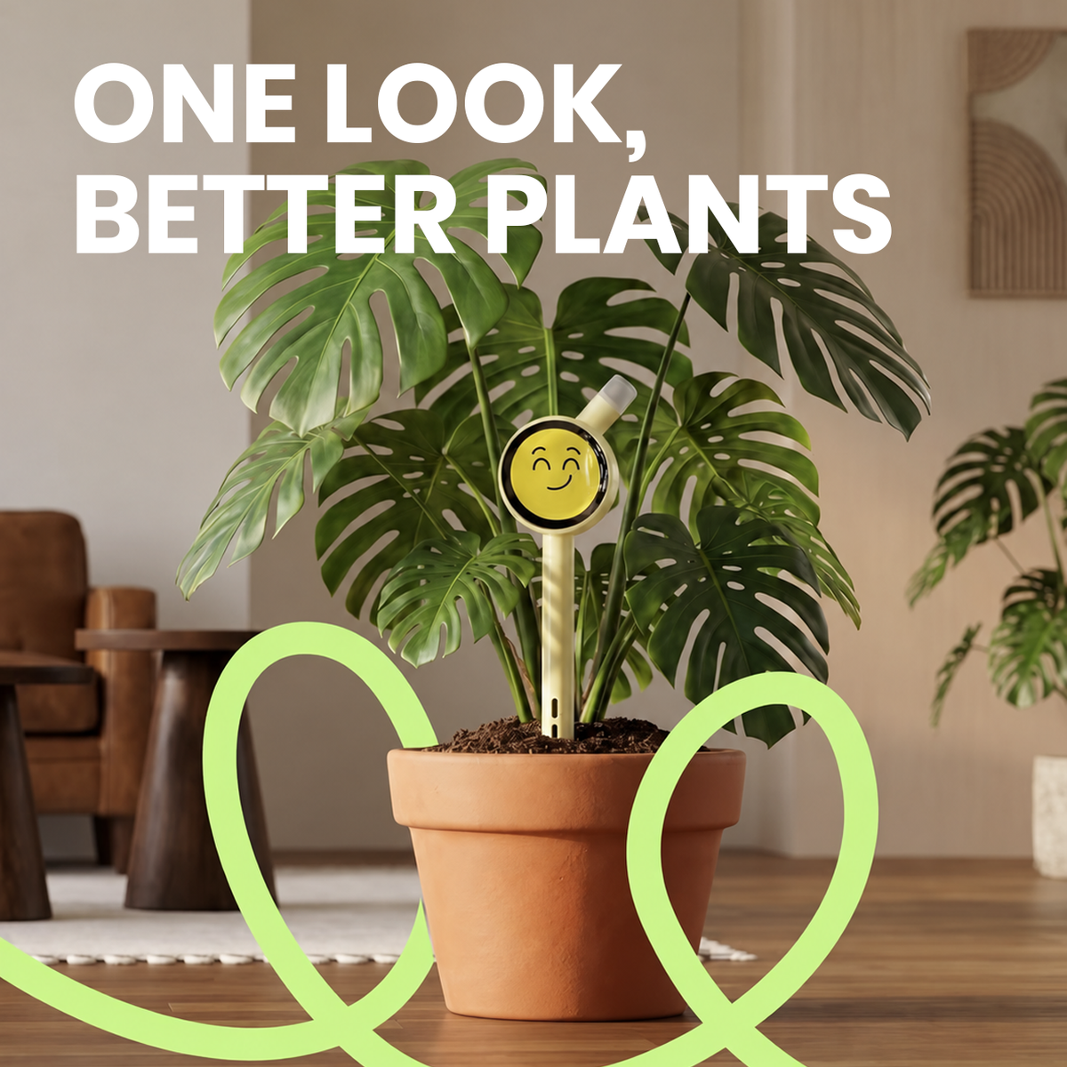 Plantiemoji William Gallery — Internal Media
