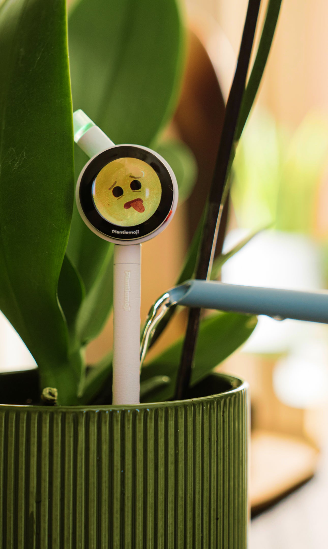 Plantiemoji Magic Wand Gift Kit