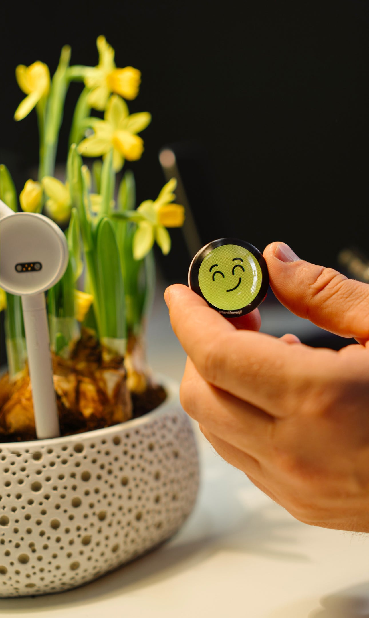 Plantiemoji Magic Wand Gift Kit