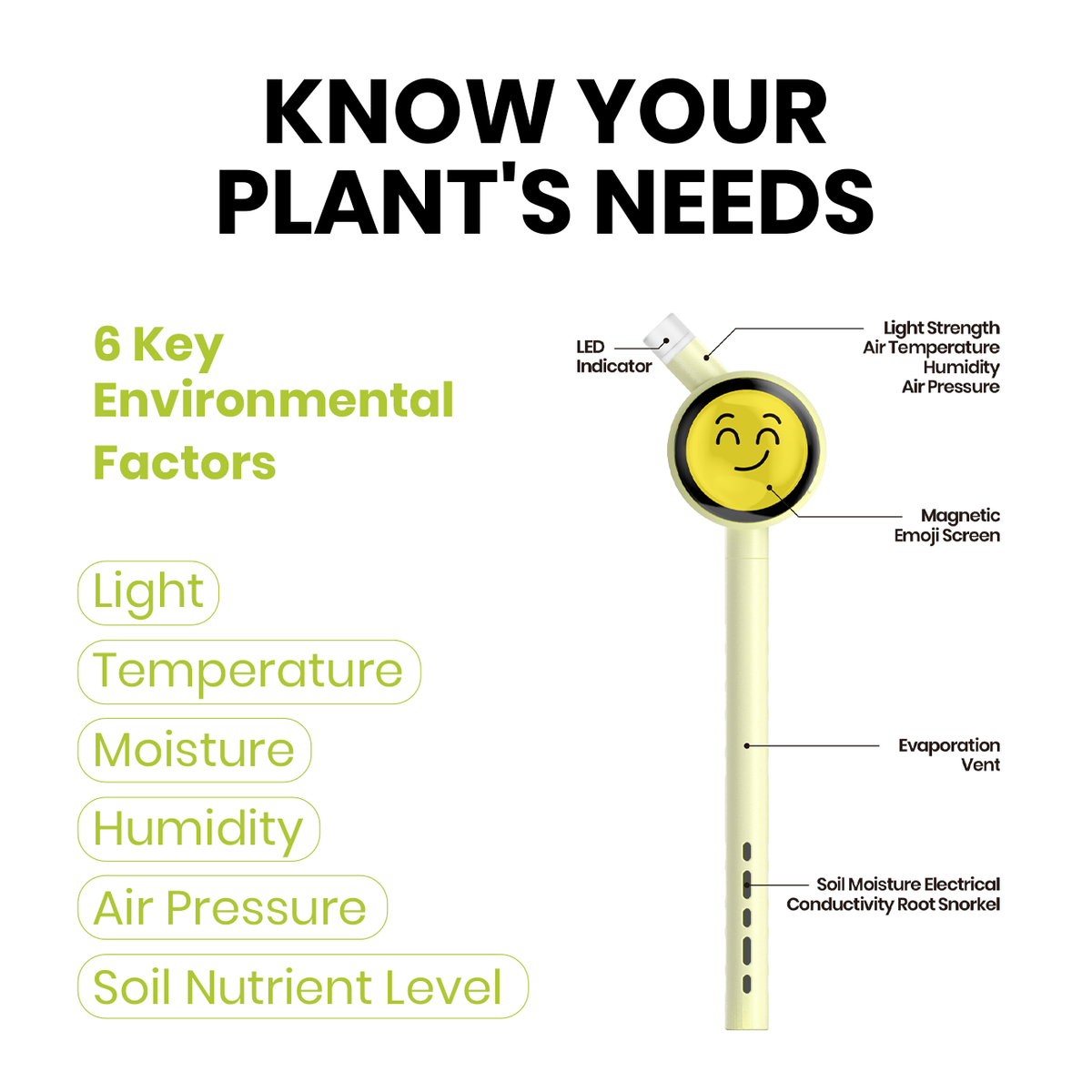 Plantiemoji Magic Wand Gift Kit