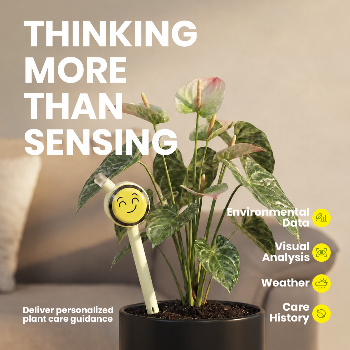 Plantiemoji William Gallery — Internal Media