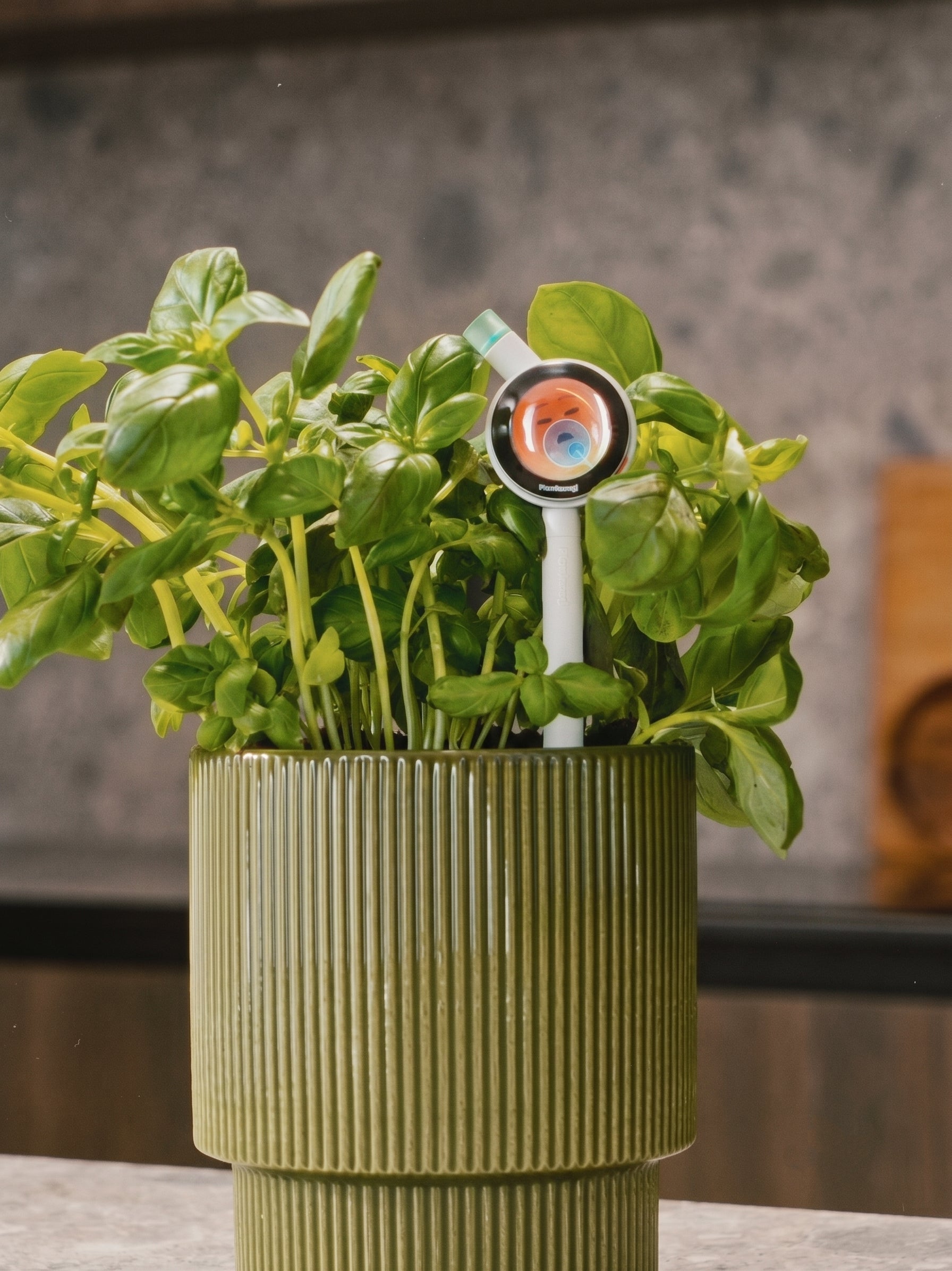 Plantiemoji lifestyle view