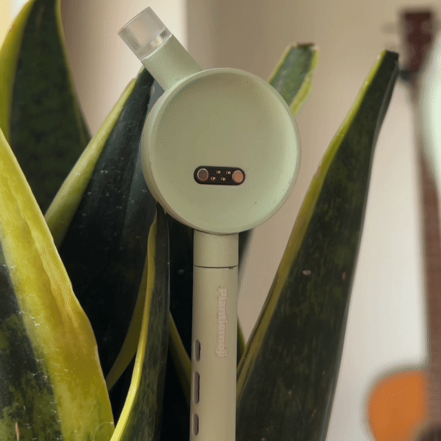 Hi Plantiemoji Plant Magic Wand